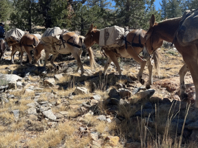 John Muir Trail: Pack Trips